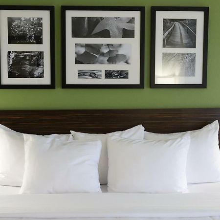 Sleep Inn & Suites Belmont - St. Clairsville מראה חיצוני תמונה